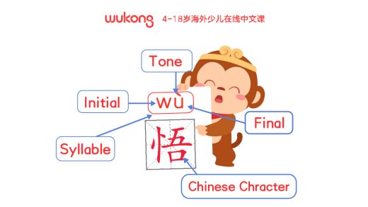 Your Guide to Learn Pinyin | Master the Art