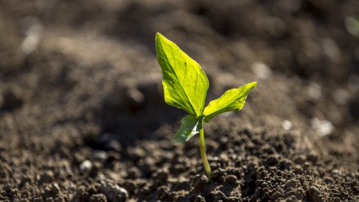 24 Solar Terms: 6 Things about Chinese Awakening of Insects You Must Know  