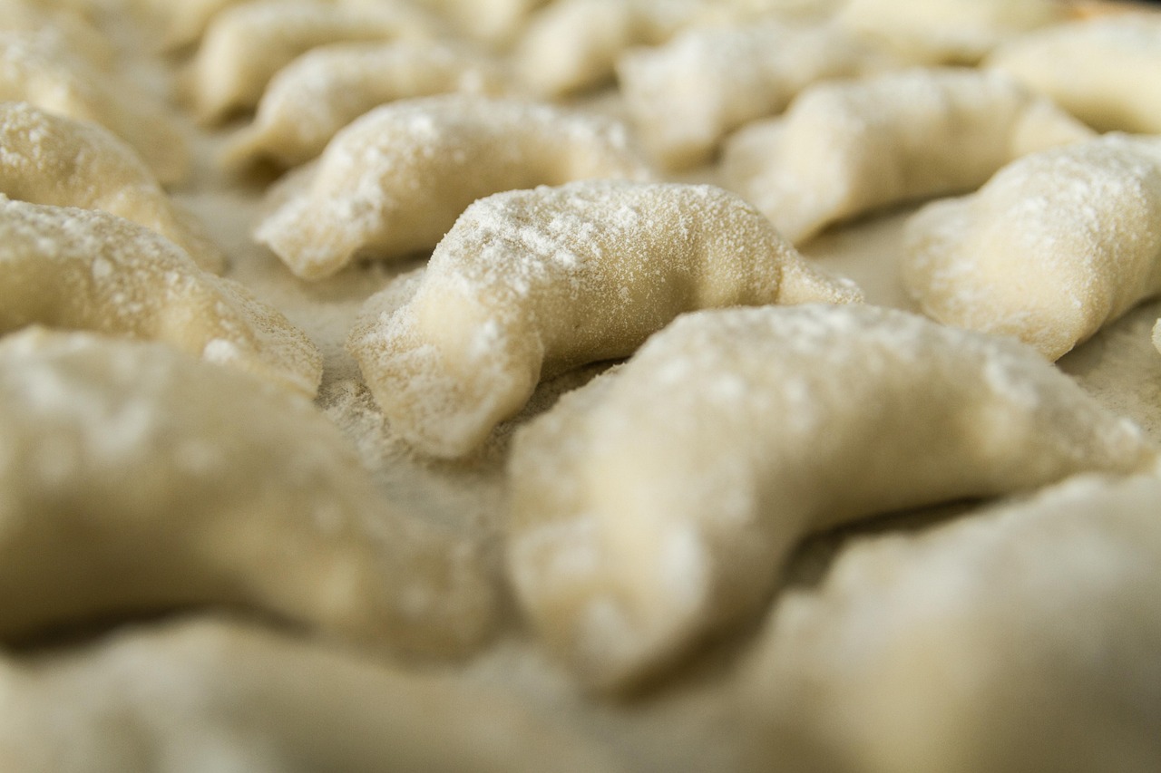 Free Dumplings Raw photo and picture
