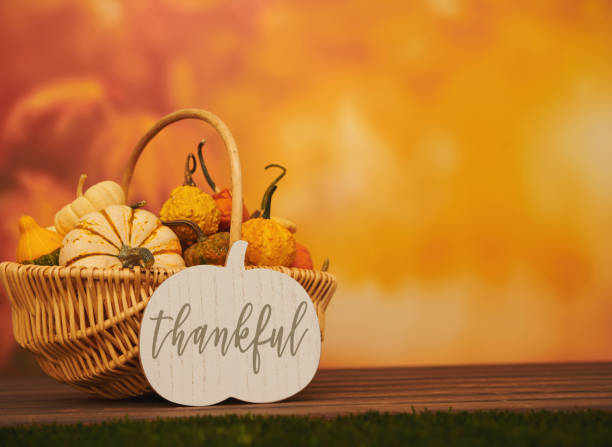 Thanksgiving Message to Friends