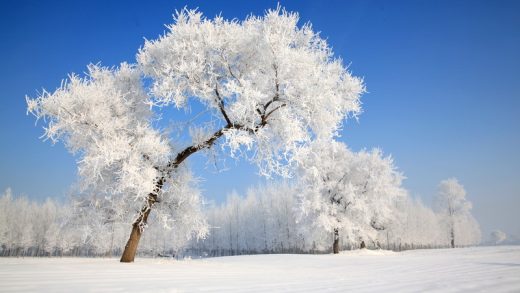 18 Ways to Say Snowing in Chinese (With Pronunciation)