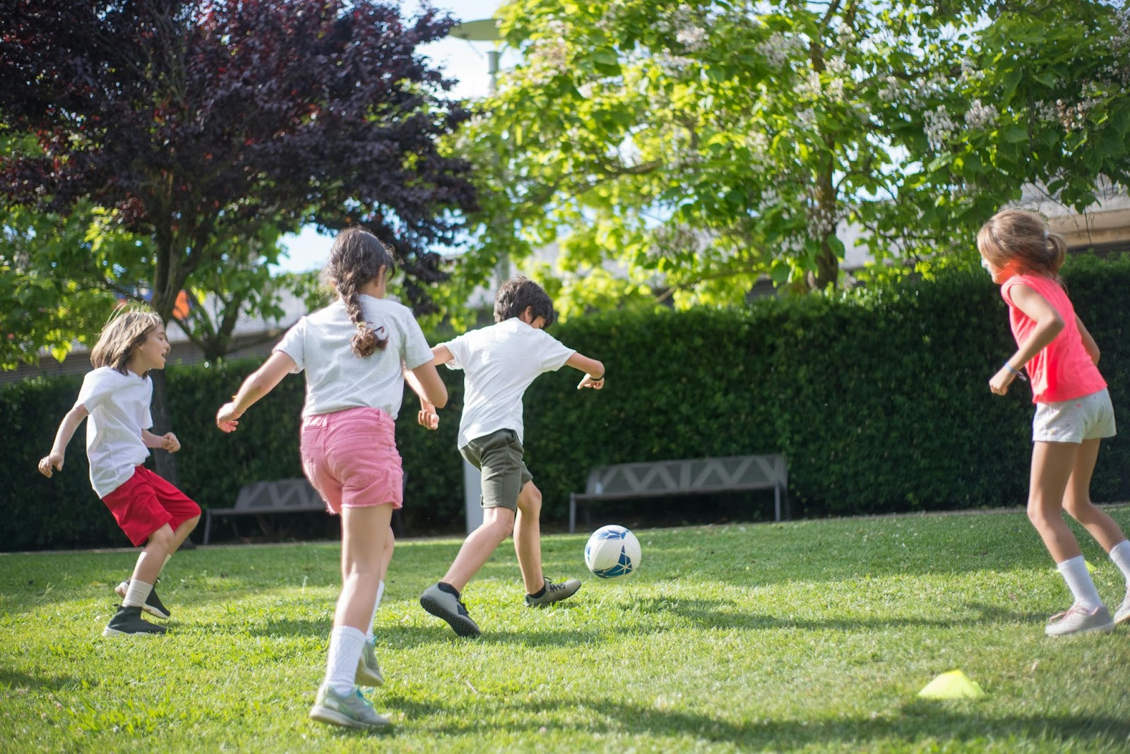 Top 10 Summer Camp Activities for Kids [2025]
