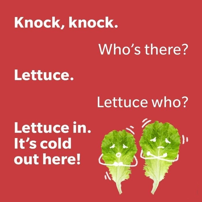 knock knock Jokes for Kids
