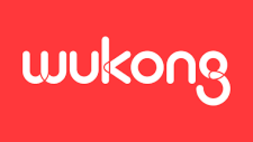 Why Do Students Choose Wukong Chinese Classes?