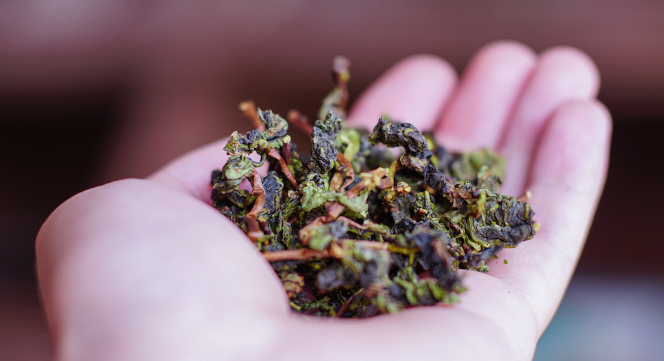 types of chinese tea: Oolong Tea