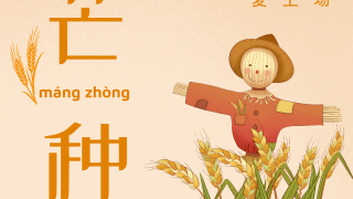 二十四节气·芒种最全介绍：意思、时间、习俗（2025）