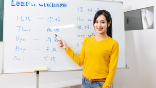 Top 6 Online Chinese Courses: Your Guide to Learning Mandarin