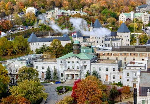 麦吉尔大学(McGill University)