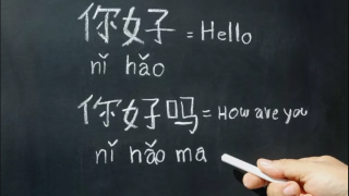 6 Best Online Chinese Language Courses to Learn Mandarin [2025 Updated]