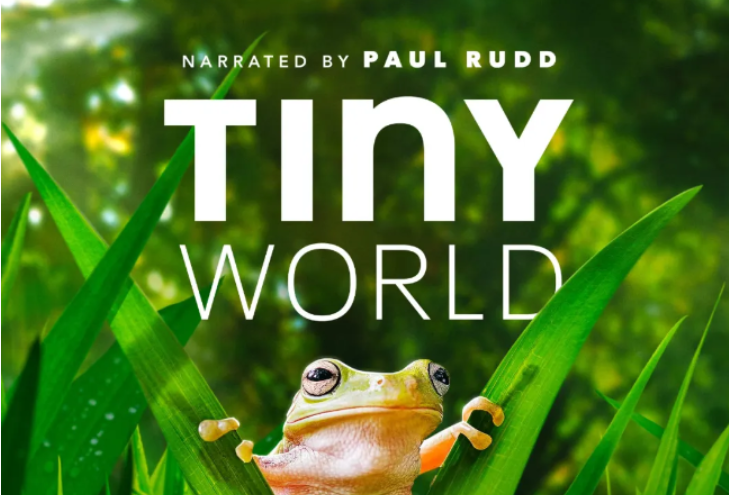 Tiny World