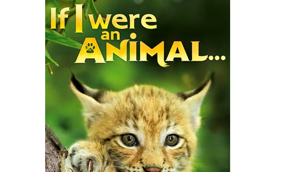 If I Were An Animal