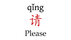 Please in Chinese